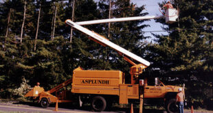 Asplundh Trucks For Sale: Your Comprehensive Guide to Acquiring Specialized Utility Vehicles