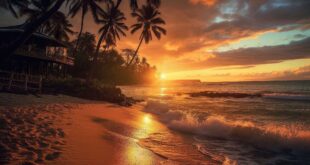Beach Trucks For Sale: Your Ultimate Guide to Coastal Cruising