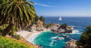 California Hay Trucks For Sale: Your Comprehensive Guide to Hauling the Golden State’s Green Gold