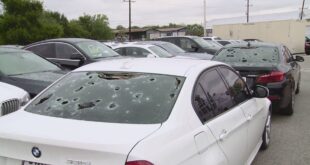 Hail Damaged Trucks For Sale Texas: Unlocking Value in the Aftermath of the Storm