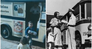 Helms Bakery Trucks For Sale: A Comprehensive Guide to Owning a Slice of Americana