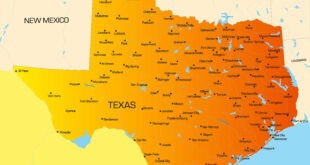 Texas Custom Trucks For Sale: Your Comprehensive Guide to the Lone Star State’s Rolling Masterpieces