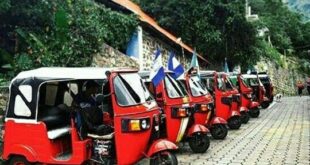 Tuc Tuc Trucks: The Nimble Revolution in Urban Logistics and Small Business